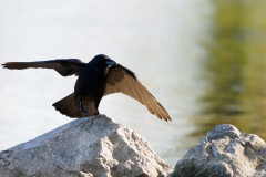 der_rest_vom_see-1-15