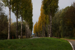 Auf dem Reichenau Damm
