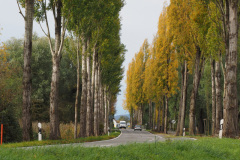 Auf dem Reichenau Damm