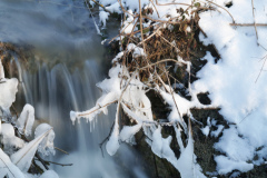 24-70-F-2.8_ger_winter_filter
