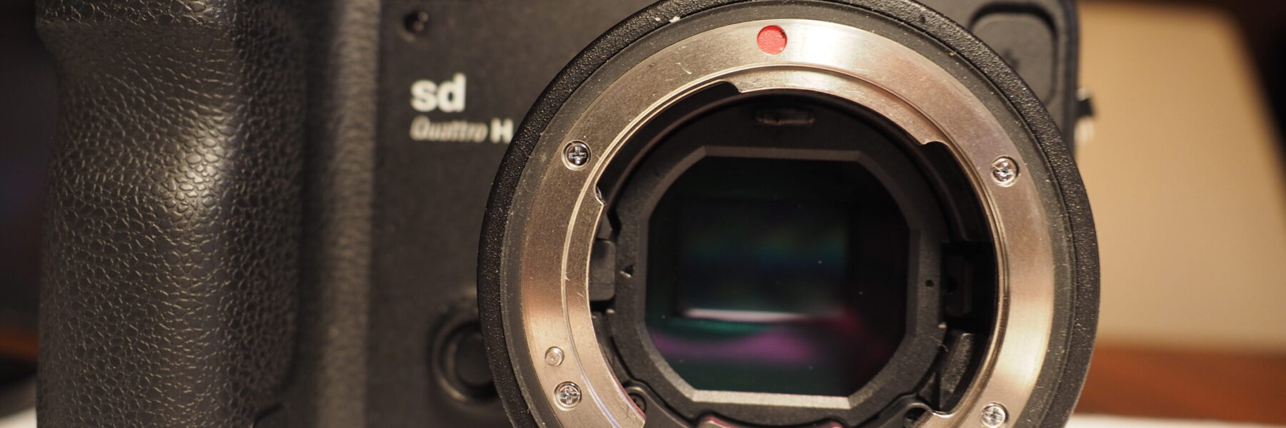 Sigma SD Quattro H Longterm Review